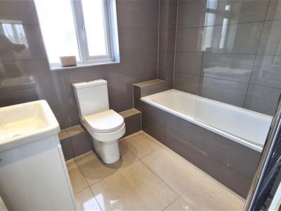 Picture 20